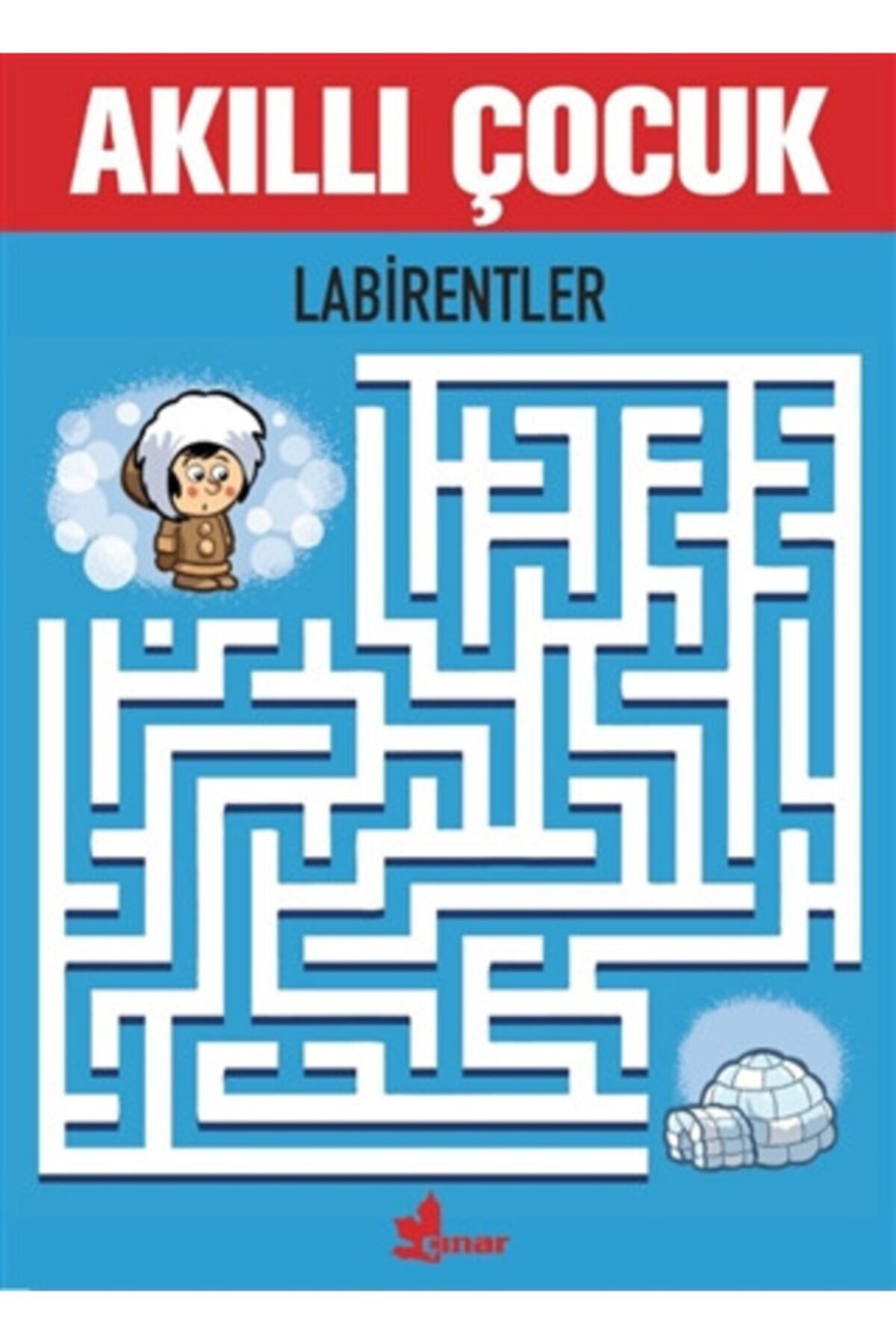 Labirentler Akıllı Çocuk