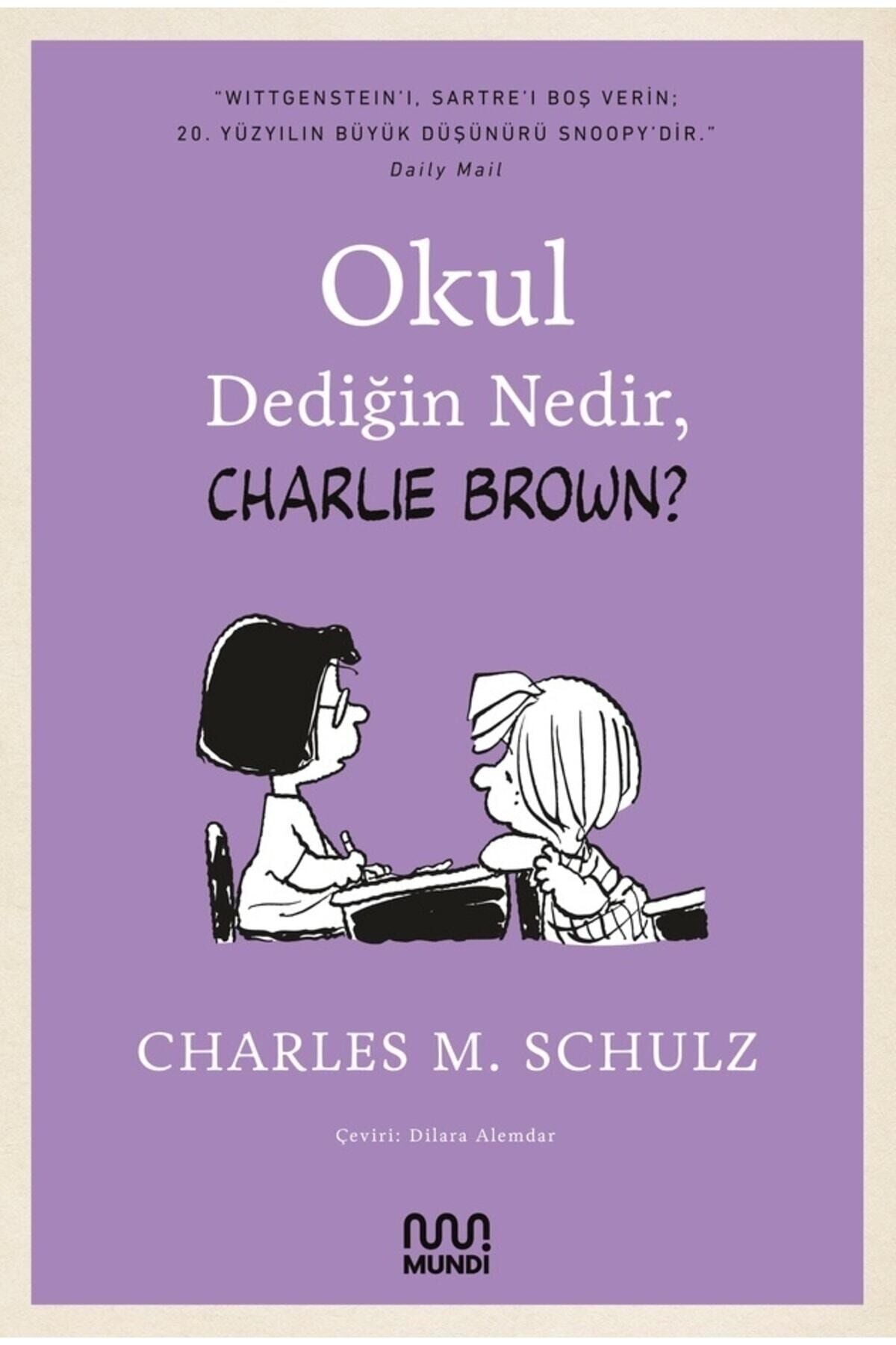 Okul Dediğin Nedir, Charlie Brown?