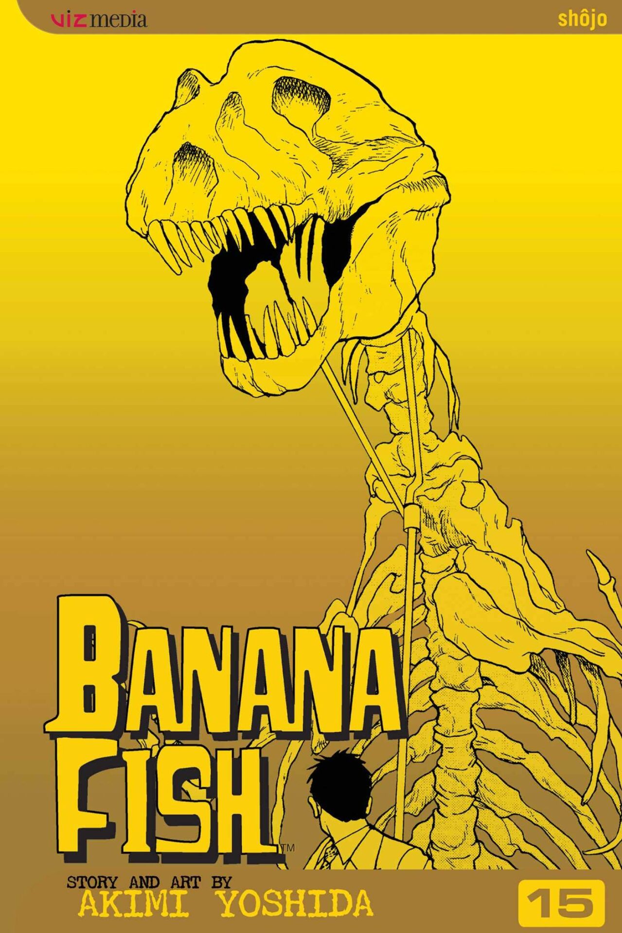 Banana Fish Volume 15 --İNGİLİZCE