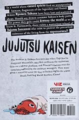 Jujutsu Kaisen, Vol. 12