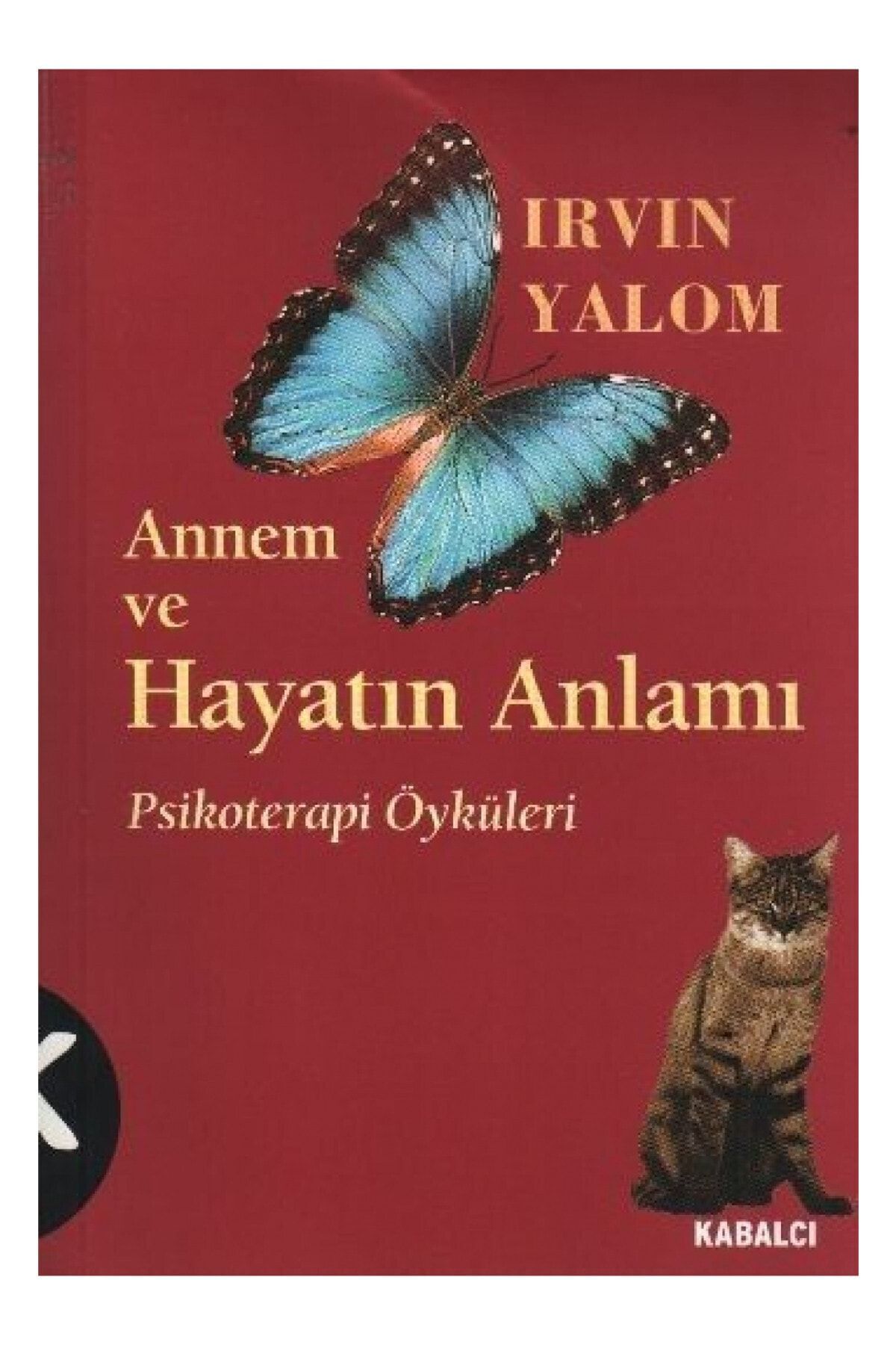 Annem Ve Hayatın Anlamı