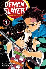 Demon Slayer: Kimetsu no Yaiba, Vol.1