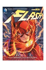 The Flash Cilt 1 - İleri