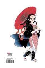 The Art of Demon Slayer: Kimetsu No Yaiba