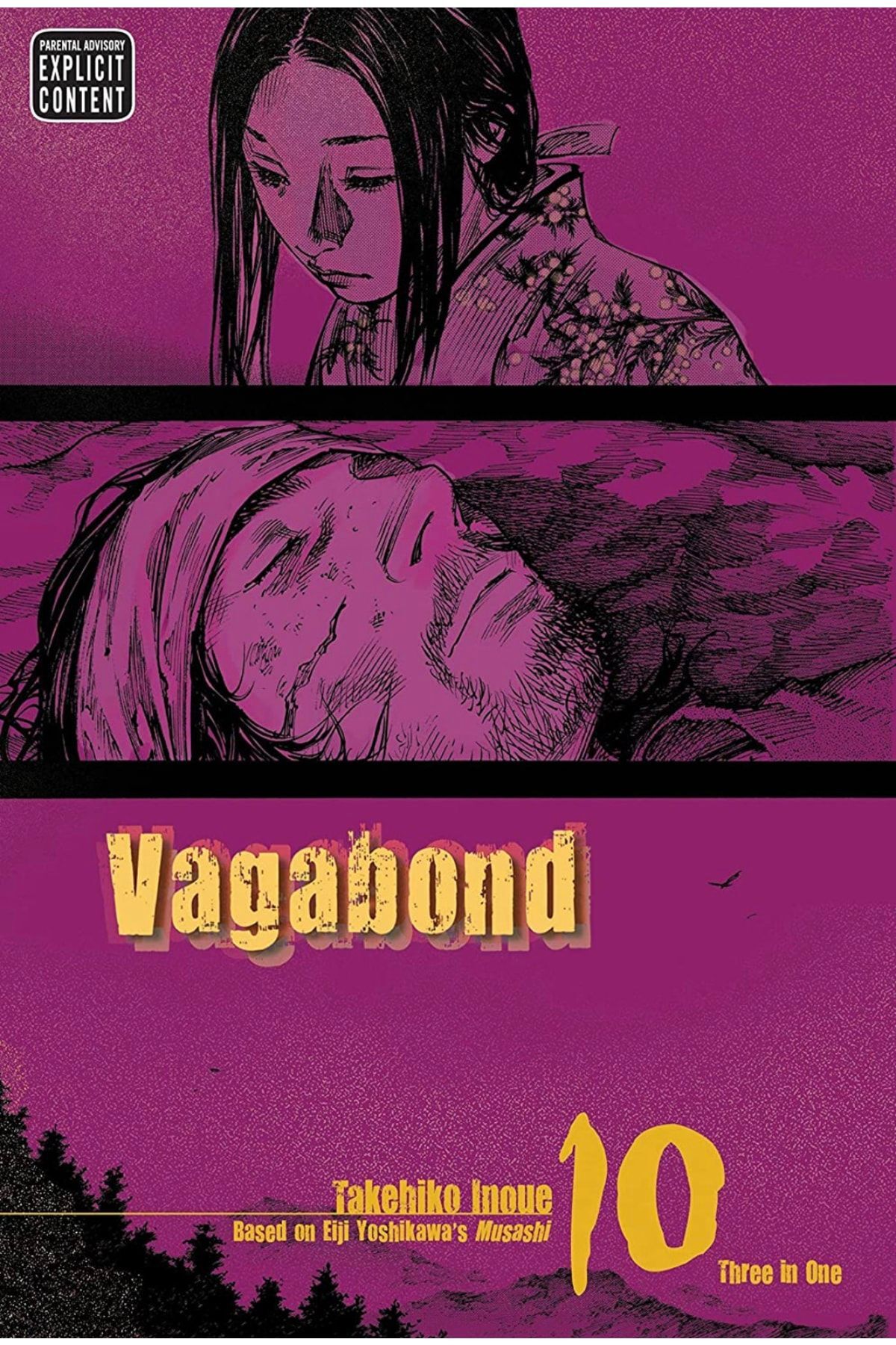 Vagabond Vizbig Edition, Vol. 10