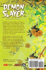 Demon Slayer: Kimetsu no Yaiba, Vol. 5