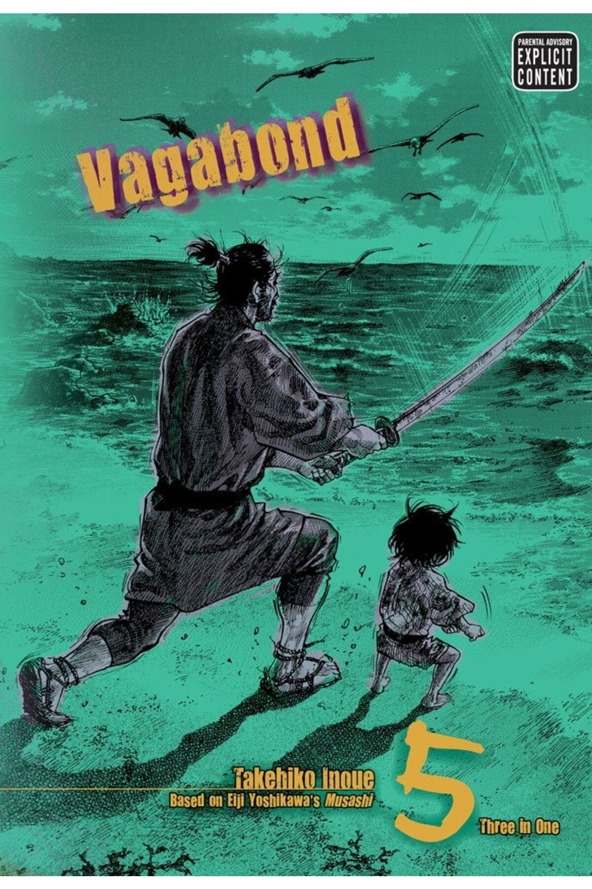 Vagabond 5 (Vizbig Edition)