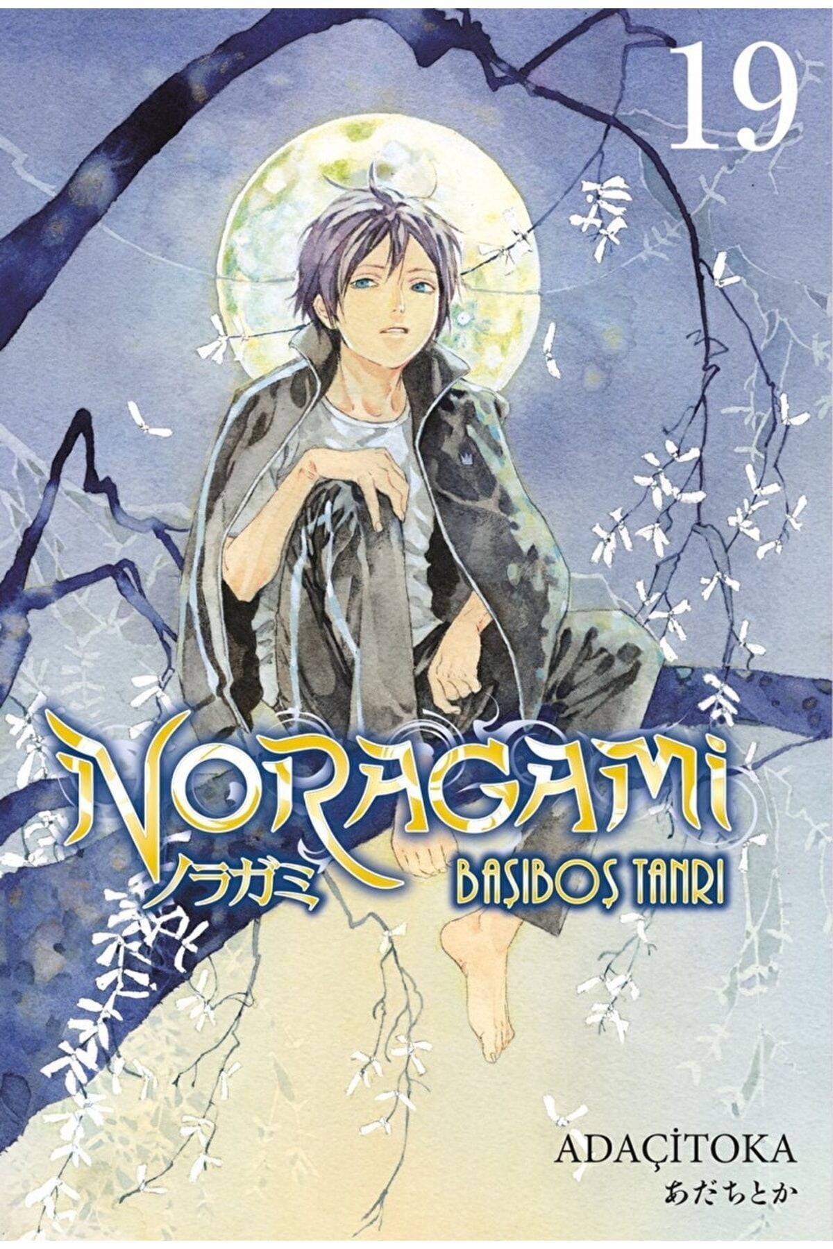 Noragami 19. Cilt